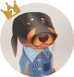 柴犬